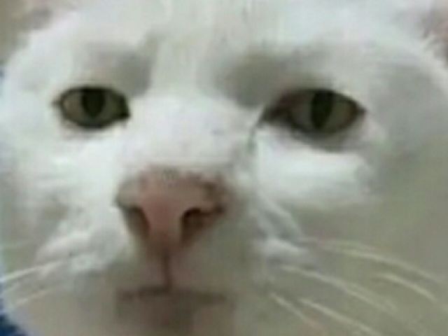O Sério