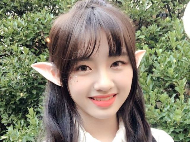 Koto Kokoro