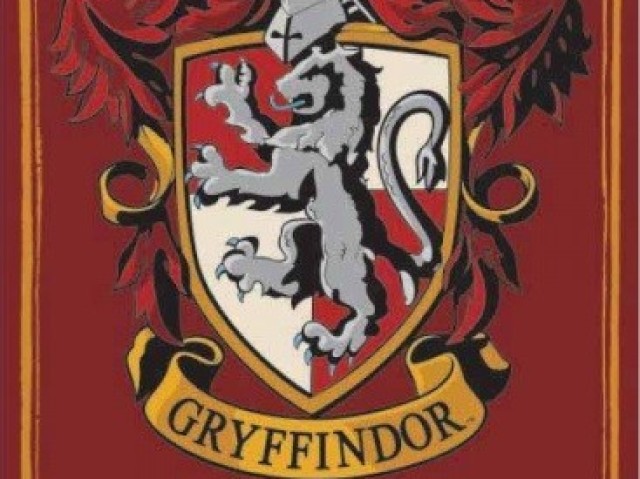 Gryffindor (grifinória)