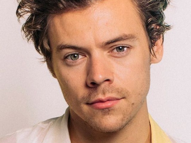 Harry styles (cantor)