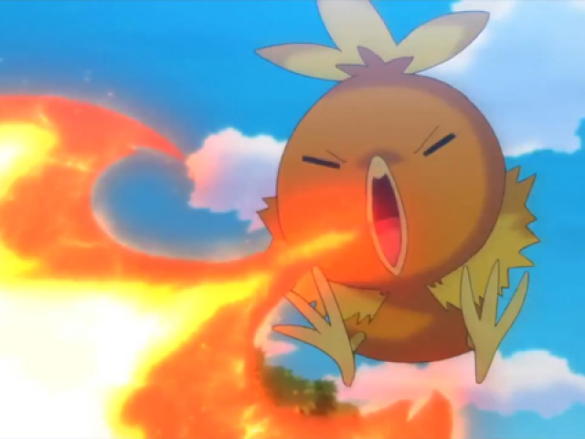 Torchic