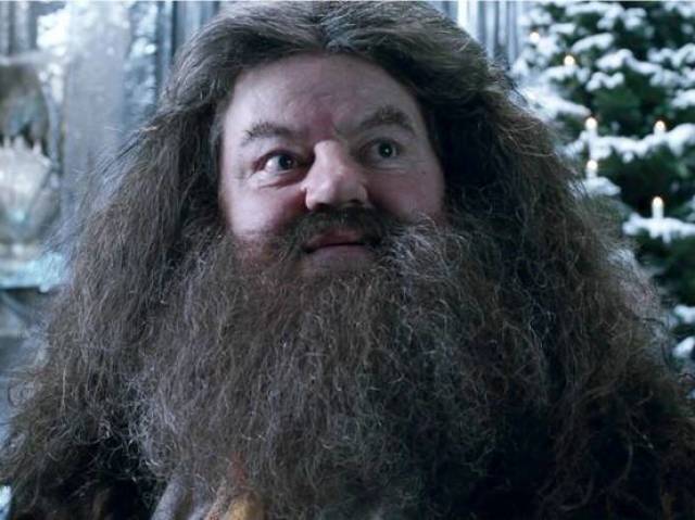 Hagrid