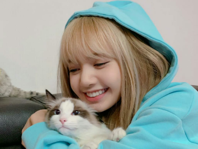 Lisa🍩 Tema: Gatinho🐱