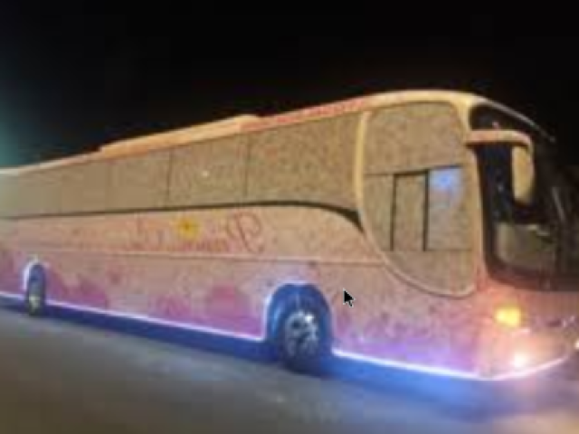 ônibus neon