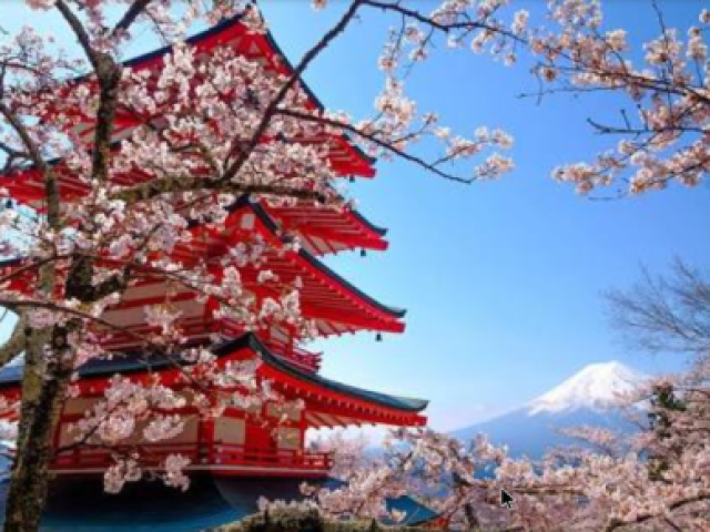 Japão
Hina