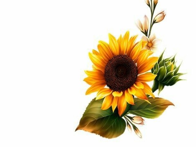 Estavamos sentados na cama: -Pensei que me odiava...mas nós dois sentimos a mesma coisa um pelo outro...eu percebi isso desde quando você começou a me ajudar a se recuperar, te fiz rir e chorar, e sinto que somos um feito para o outro.*Ele de tão próximo que estava me roubou um beijo.*
*Ele lhe agarrou pela cintura te dando um beijo quente, te jogando na cama.*
