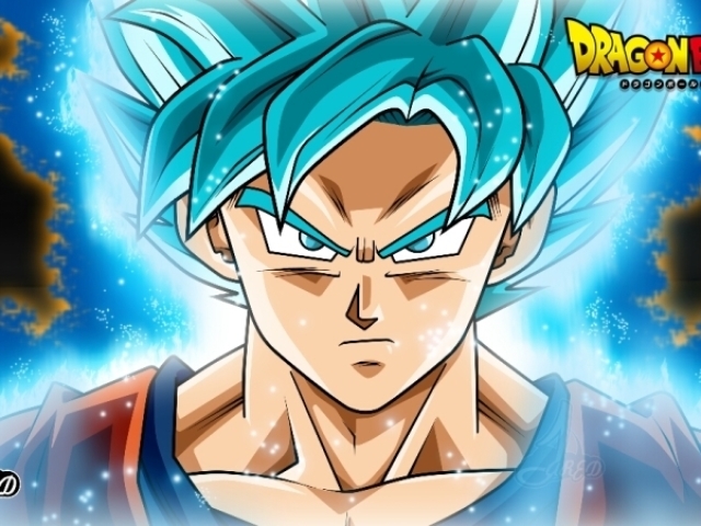 GOKU SSJB