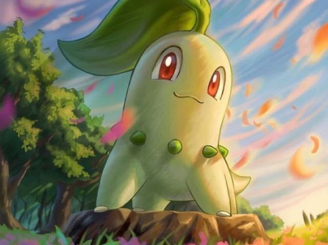 🌺Chikorita