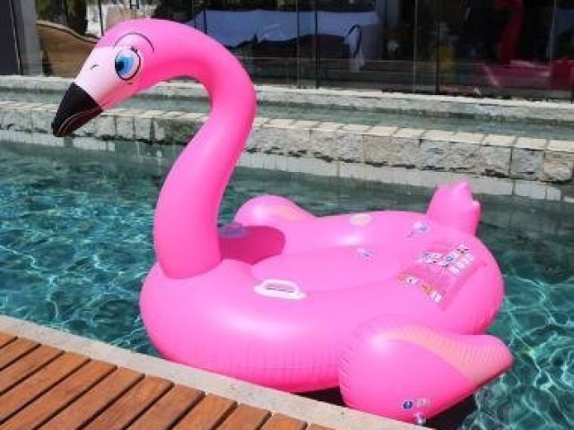 de flamingo