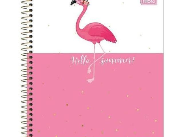 Caderno kawaii