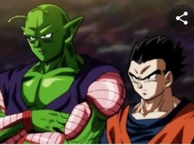 Gohan e piccolo