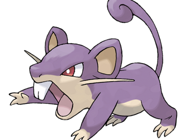 Rattata