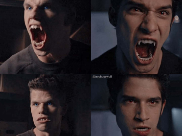 Você sabe tudo sobre Teen Wolf?