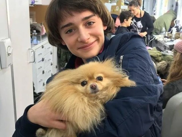 Noah Schnapp