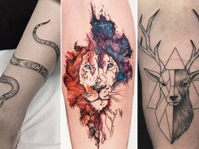 Animais