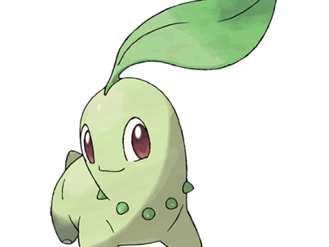 Chikorita