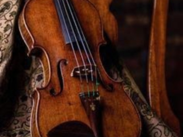 Violino