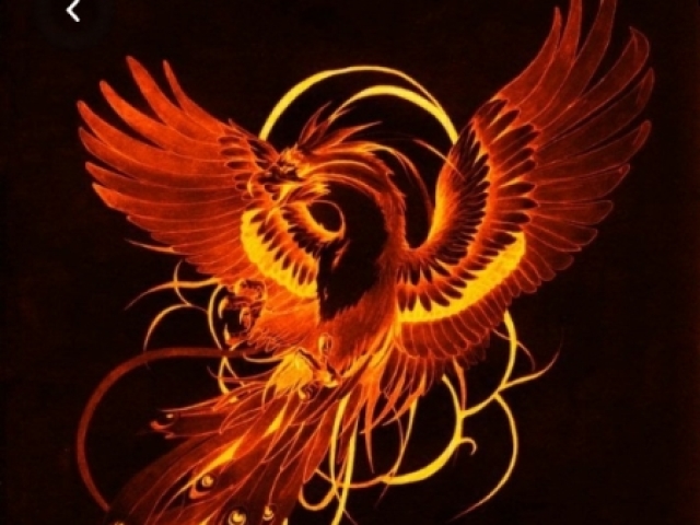 Fenix