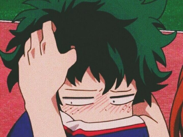 Você ficou olhando o Parque gigante, de repente escuta uma voz falando:
- Quando eu era menor também ficava bem perdido nesse parque gigante!
Você olhou para trás era Deku!
Vocês ficaram conversando e andando por aí!