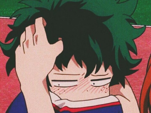 Você ficou olhando o Parque gigante, de repente escuta uma voz falando:
- Quando eu era menor também ficava bem perdido nesse parque gigante!
 Você olhou para trás era Deku!

 Vocês ficaram conversando e andando por aí!