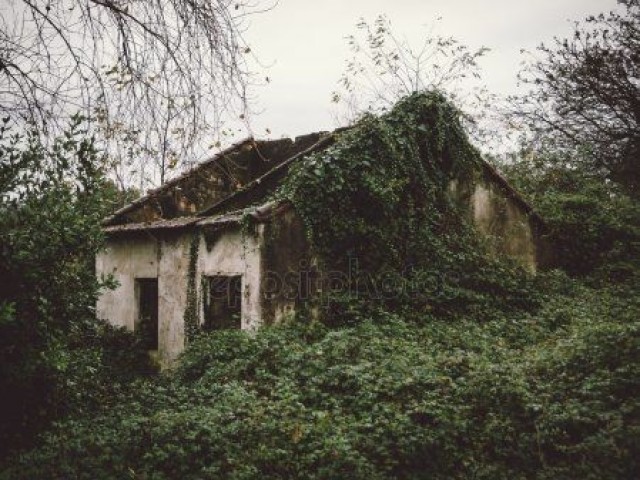 Um lugar assustador
(Casa abandona)