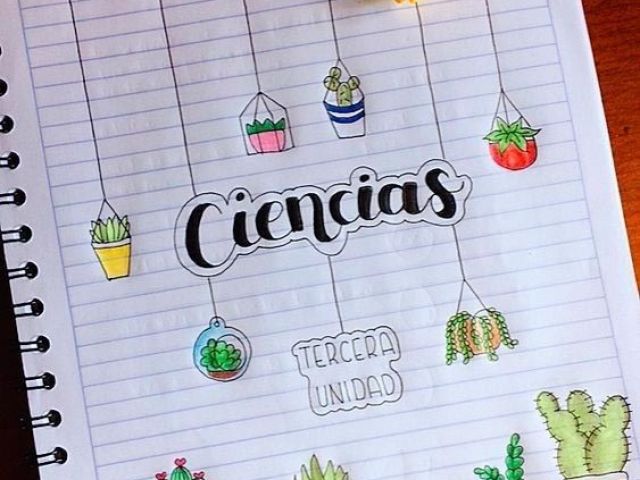 CIÊNCIAS