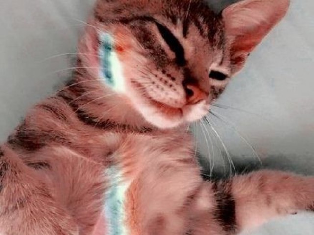 Tudo colorido Γ© melhor β€οΈπ§‘πππππ€βοΈπ€β¨