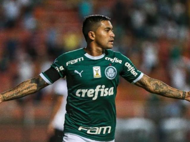 Dudu (palmeiras)