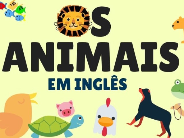 Animais em inglês: Teste seus conhecimentos!