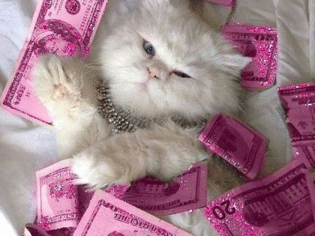 Louca dos animais