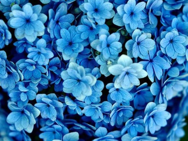 Azul