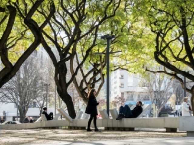 Para a praça relaxar.