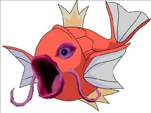 O mítico Magikarp