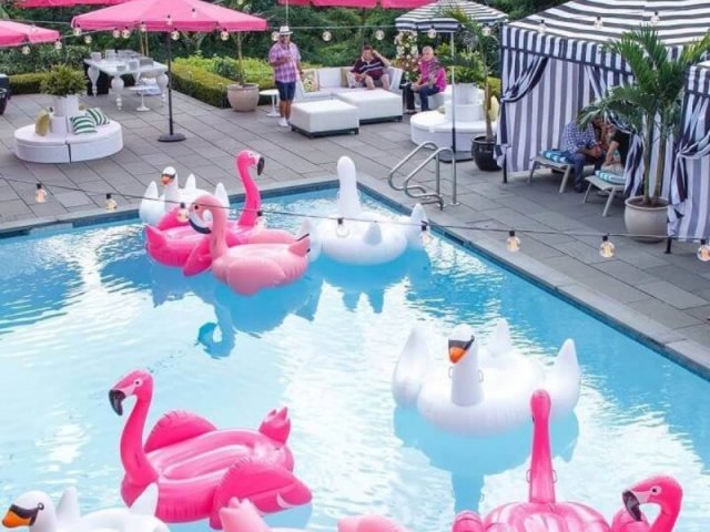 Flamingos