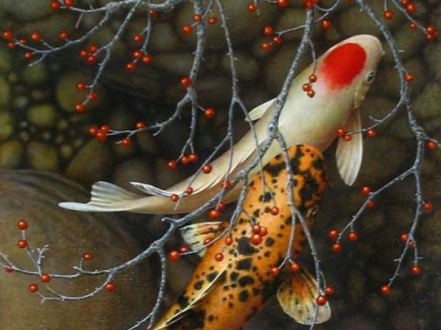 Peixe
