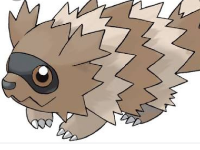 Zigzagoon