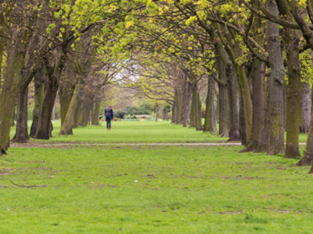 Parque, gosto de sair de casa