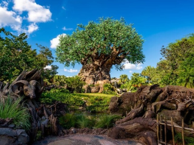 Animal Kingdom