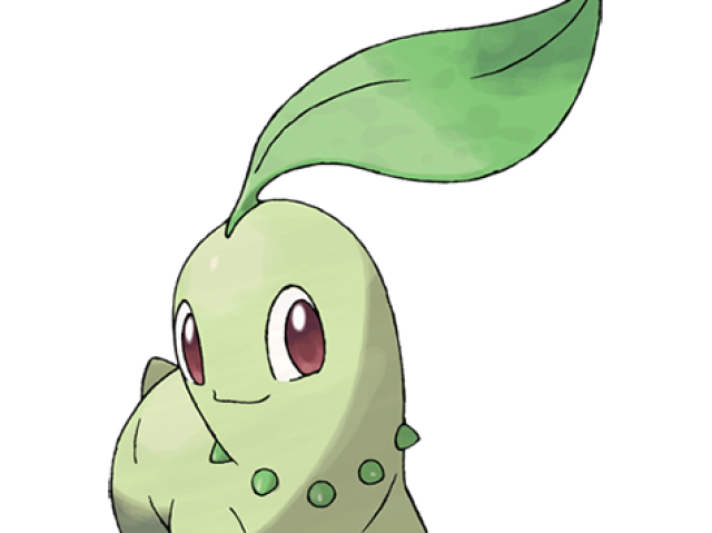 chikorita