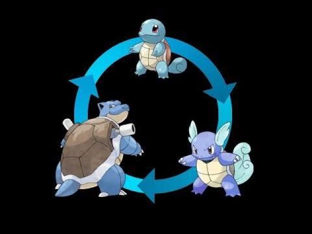 Squirtle - Blastoise