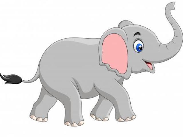 ELEFANTE