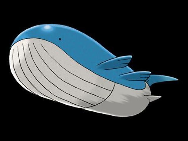 wailord