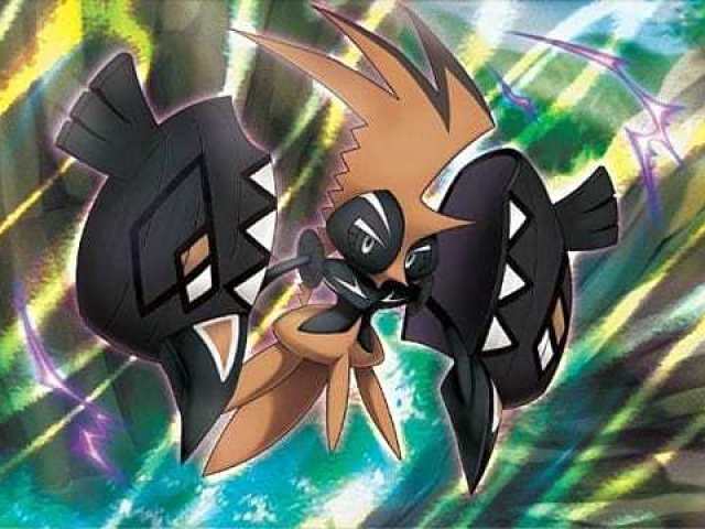 Tapu koko e tapu bulu