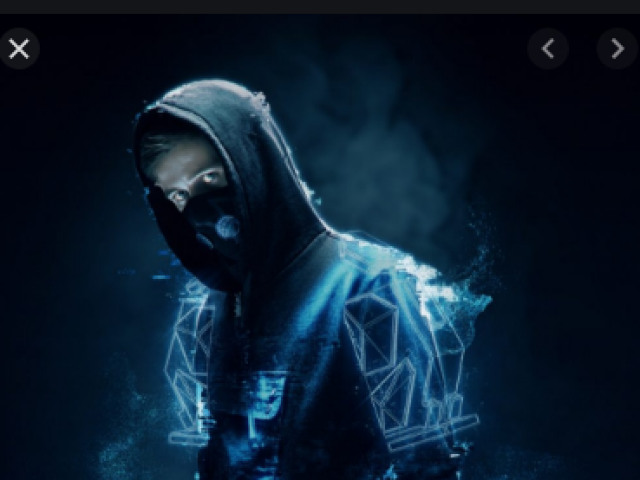 alan walker