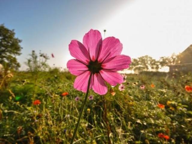 Anunciação do inferno ou primavera