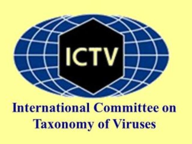 Comitê Internacional de Taxonomia de Vírus