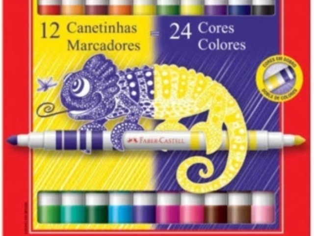 12 canetinhas e 24 cores colores