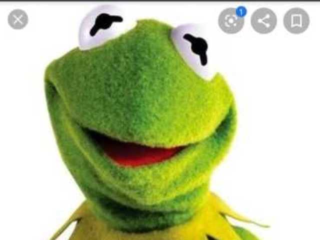 Kermit