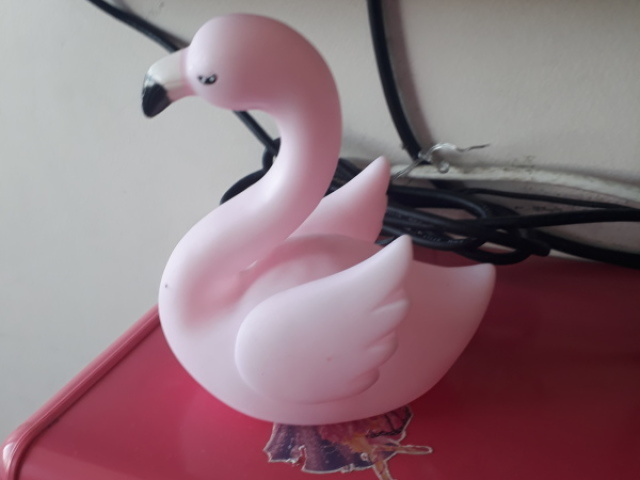 Flamingo???