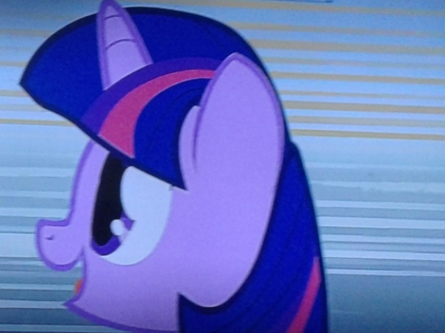 Twilight sparkle